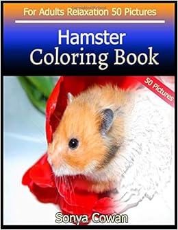 hamster adults