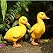Urparcel Resin Duck figures Garden decoration,Outdoor statue,Yard decoration (a pair)