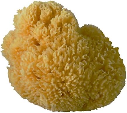 PanHy Natural Sea Yellow Sponge 5-6" Large Perfect for Bath, Shower, Massage, SPA and Body Care,Ultra Soft and not Skin Irritating, Originally Used for Babies but for Everyone