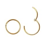 FANSING Nose Hoop 2 Pieces Surgical Steel Nose