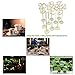 NUOLUX 11-20 Wooden Table Numbers with Holder Base for Wedding or Home Decoration 10pcs(Wood Color)
