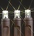 Novelty Lights Warm White LED Christmas String Lights - UL Listed Indoor/Outdoor Light Set w/ 100 Mini Bulbs for Christmas Tree, Patio, Wedding Decor, and More - (Brown Wire, 34' Long)