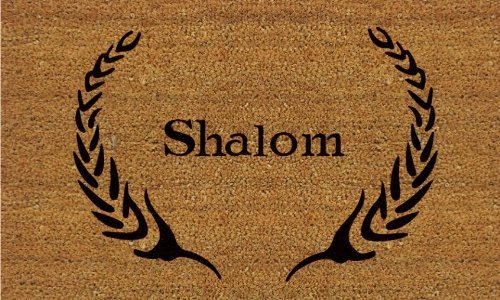 Calloway Mills 120841729 Shalom Doormat 17" x 29"