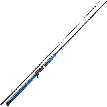 Amazon.com 新版本: 最暢銷的新& 未來版本釣魚竿