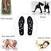 Massaging Insoles Magnetic Massage Insoles for Women and Men Health Foot Magnetic Therapy Magnet Acupressure Shoe Boots Pads (US Women 4~10/Man 6.5~9))