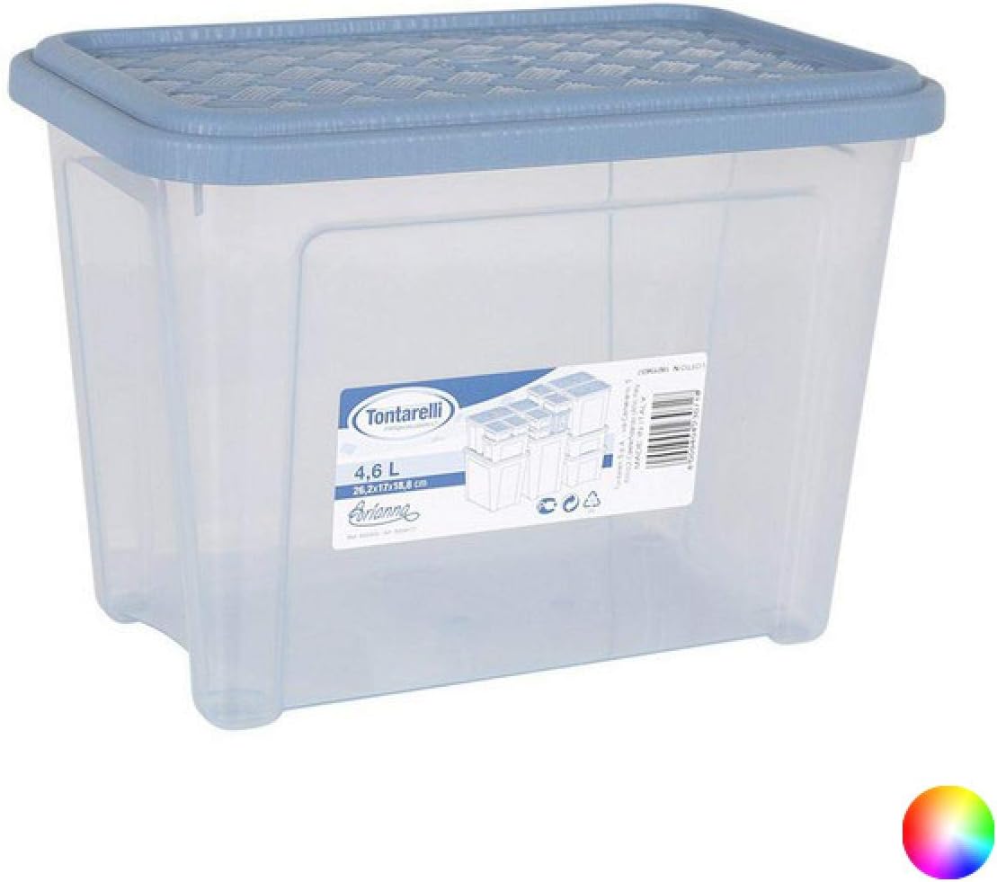 Tontarelli S2200461 Caja, Multicolor, 26.2 x 17 x 18.8 cm: Amazon.es: Hogar