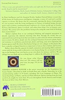 Plant Intelligence and the Imaginal Realm: Beyond the