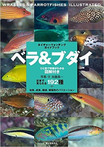 ベラ ブダイ 日本で見られる192種 幼魚 成魚 雌雄 婚姻色のバリエーション ネイチャーウォッチングガイドブック Amazon Es Libros
