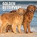 Golden Retrievers 2018 12 x 12 Inch Monthly Square Wall Calendar with Foil Stamped Cover, Animals Dog Breeds Retriever (Multilingual Edition) by 