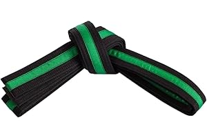 MASTERY MARTIAL ARTS Mastery Apprentice