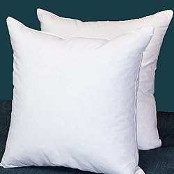 Set of 2, Square Decorative Throw Pillows Inserts