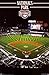 Washington Nationals Park Poster 22 x 34in
