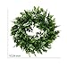 Coxeer Artificial Green Leaf Wreath, 10.25 Inches (About 26.0 Cm) Boxwood Wreath, Farmhouse Wall Window Decoration Front Door Wreath, Wedding Party Decoration