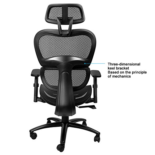 Mysuntown Ergonomic Mesh Office Chair with Back Support, Adjustable Headrest & Adjustable Armrest Lumber Support Desk Executive & Task Chair for Home Office Conference Room