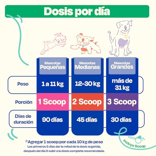 Dogelthy Antiox Blend Suplemento Antioxidante Natural para Perros. Apoya el Envejecimiento Saludable y Sistema Inmune. Polvo Sabor Cerdo 270 g