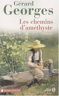 couverture de : Les Chemins d'am&eacute;thyste
