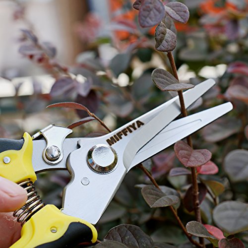 Professional Hand Pruning Shears Set, Bypass Gardening Shears with Stainless Steel / SK-5 High Carbon Steel, 1'' Cutting Capacity, Suitable for garden art, trimming branches, flowers, vines, etc - Thumbnail 6