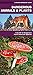 Dangerous Animals & Plants: A Folding Pocket Guide to Dangerous North American Species (A Pocket Naturalist Guide)
