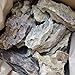 Aqualexs Aquarium Ohko Dragon Stone Rock Mixed Sizes