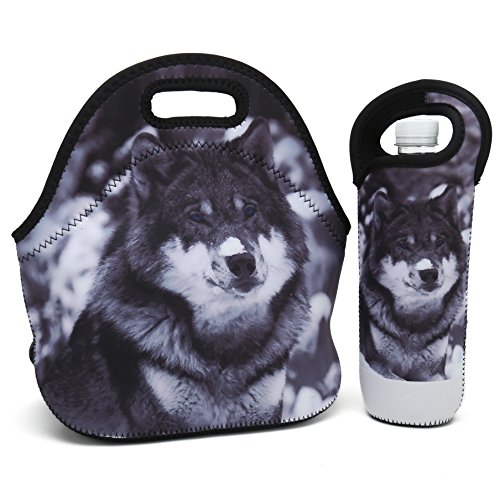 Carrier For Snacks & Lunch- Lightweight|rugged Lunchbox |for