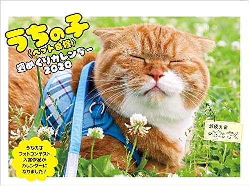 Amazon Co Jp うちの子 ペット自慢 週めくりカレンダー カレンダー 文房具 オフィス用品