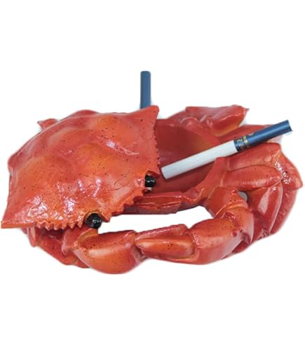 Amazon.com: WAIT FLY Crab Ceramic Ashtray with Lid, Cute Cigar Ashtray for  Indoor or Outdoor use, Home Office Decoration Ashtray for Smokers : Home &  Kitchen