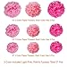 PAXCOO 27 pcs Tissue Paper Pom Poms Flowers for Valentine's Day Wedding Birthday Party Decoration