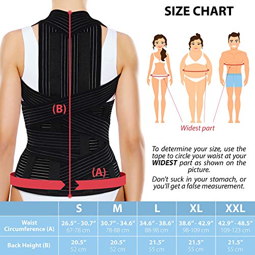 ORTONYX Full Back Support Brace with Removable Dorsolumbar Pad Upper