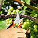 RIOGOO 3 Pack Gardening Shears Hand Pruner Pruning Shears Stainless Steel Bypass Garden Clippers