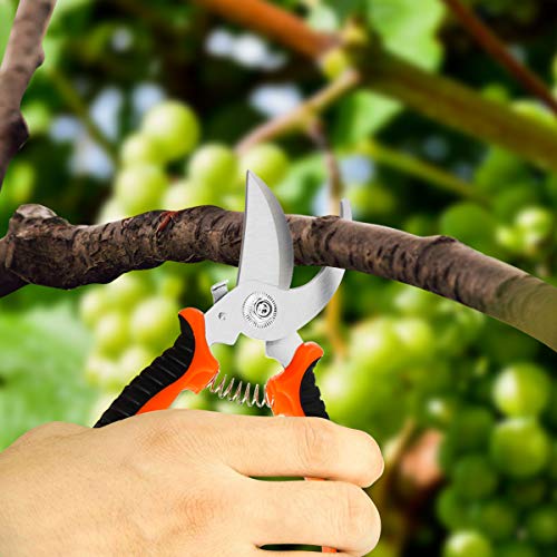 RIOGOO 3 Pack Gardening Shears Hand Pruner Pruning Shears Stainless Steel Bypass Garden Clippers