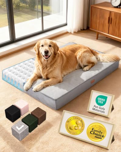 OhGeni Orthopedic Memory Foam Dog Bed