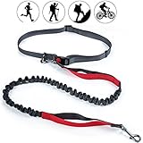 AikoPets Hands Free Waist Dog Leash with Dual Bungees, Free Control for up to 150 lbs Dogs, Durable Dual-Handle Bungee Leash with Adjustable Waist Belt - for Running, Jogging or Walking