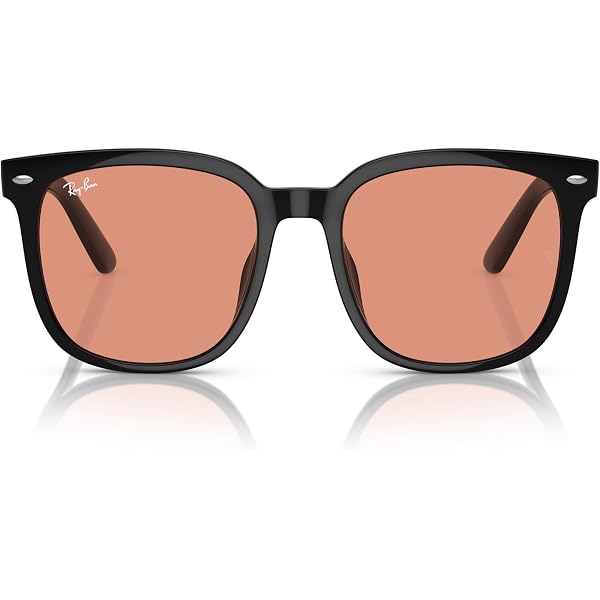 Amazon.com: Ray-Ban RB4423D Sunglasses, Black/Brown, 66 mm