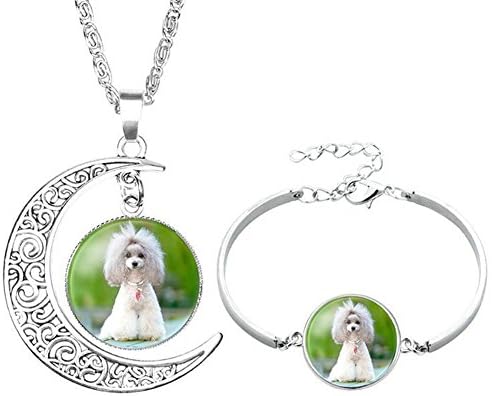Socutee Ideal Gifts Girls, Women Cute Dog Bulldog Golden Retriever Labrador Times Gem Moon Crescent Necklace Bracelet Set