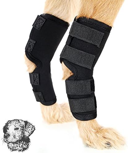 Dog Hock Joint Brace Veterinarian Approved Protect Dog Rear Leg Hock Joint Wounds as Copper Compression Brace Heal and Prevents Injuries and Sprains Dog Rear Leg Hock Wrap 1Pair