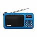 Rolton W405 Portable Mini FM Radio Speaker Music Player TF Card for PC iPod Phone with LED Display (Blue)