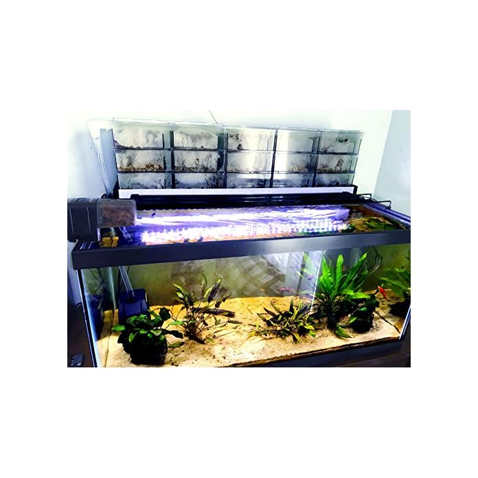 AE SHOP Aquarium Filter Fish Tank Upper Trickle Box Filters System