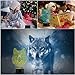 Wolf Head Lamp 3D Lamp LED Night Light Animal Table Lamp Optical Touch Transform 7 Color Lights Birthday Gift Lights Business Gift Lights