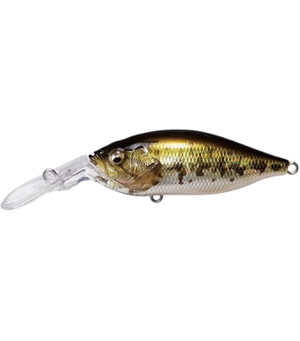 メガバス　DEEP-X 100 sp-c Amazon.com : Deep-X 100 LBO Megabass (SP-C MB) Gizzard