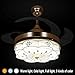 COLORLED Invisible Ceiling Fans Living Room Remote Control Fan Lights Bedroom Simple Modern Retractable Belt LED Mute Electric Fan Chandeliers (42-Inch)