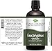 Plant Therapy Eucalyptus Globulus Essential Oil 100 mL (3.3 oz) for Diffuser, Skin, Hair, Aromatherapy DIYs, and Clear Breathing, 100% Pure, Undiluted, Therapeutic Grade