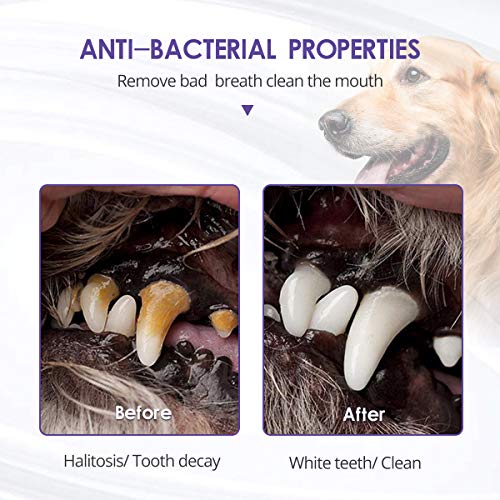 VOVO Chew Toy Pet Toothbrush - Teeth Cleaning Toy for Dogs - Oral Care Brushing Stick - 360° Soft Bristles - 100% Safe Food Grade Material - Healthy Mouth & Gums - Practical Holding Base - Thumbnail 4