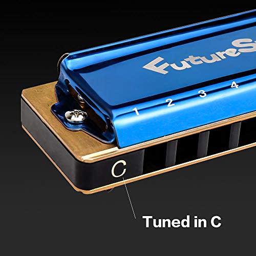 IAMGlobal Harmonica Key of C 10 Hole 20 Tone, Harmonica C Blues with Case, Cleaning Cloth, Phosphor Bronze Reeds Titanium Alloy Plated, Musical Instrument (Blue)