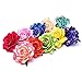Ever Fairy Rose Flower Hair Clip Slide Flamenco Dancer Pin up Flower Brooch(10 pack)(10 Color Pack C)