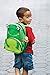 Skip Hop Toddler Backpack, 12 Frog School Bag, Multi