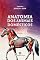 Livro Anatomia dos Animais Domésticos: Volume 1