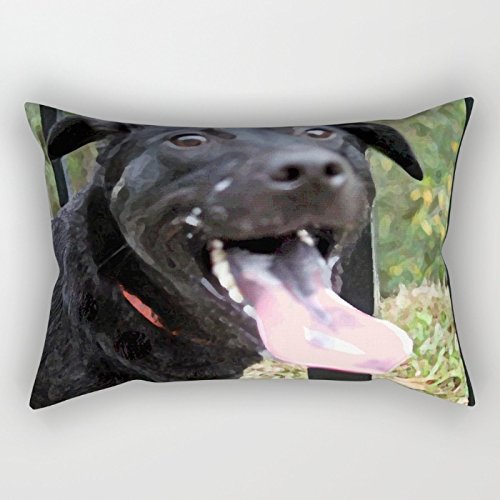 18 X 26 Inch / 45 By 65 Cm Dogs Throw Pillow Case,double Sides Print For Yoga, Father's Day, Home, House Moving Gift, Home Decor, Halloween, Kids Room, Yoga, April Fool's Day, Decoration,