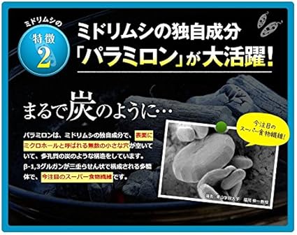 Amazon エポラ みどり酵素 30粒 話題のミドリムシに酵素をプラス ドラッグストア