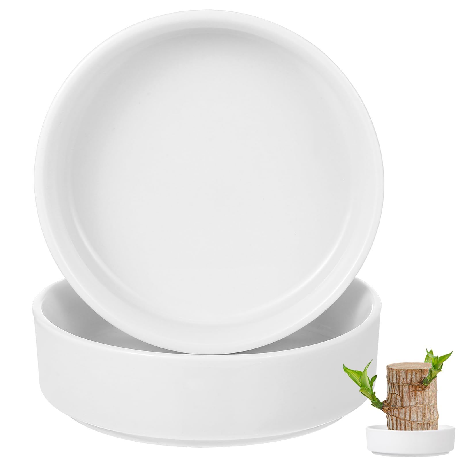 Mipcase Brazilian Wood Plant Ceramic Tray Holder Set of 2 Decorative Desktop Plant Saucer for Indoor Brazilian Wood Plants Easy to Clean and Reusable