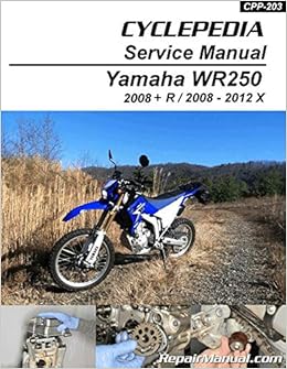 wr250r engine life